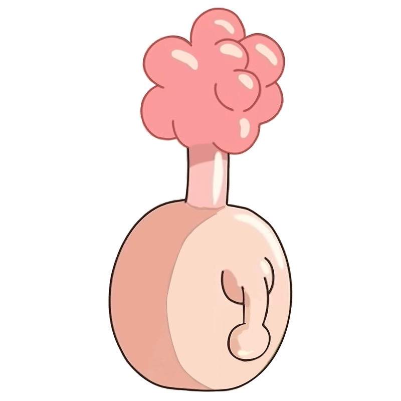 Plumbus